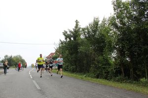 IMG_3139.JPG